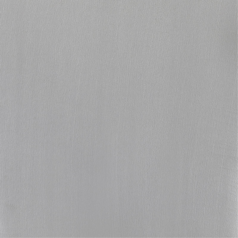 Ensemble de 2 chaises d'appoint à dossier capitonné Allessandra, Tissu gris