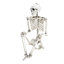 Halloween Figurines & Collectibles-927828464