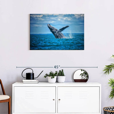 Brampt Pacific Humpback Whale