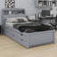 Wooden LED Platform Bed With Trundle, With Storage Headboard, With Drawers-1508307474-1508307475