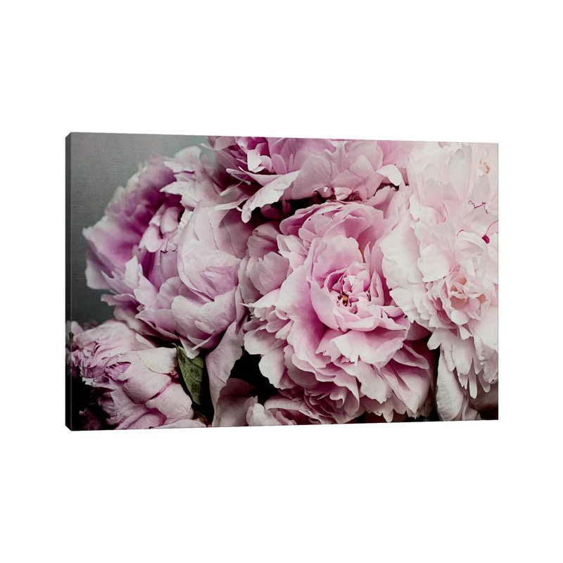 Peonies Galore II by Elizabeth Urquhart - Wrapped Canvas Print, 101.6 cm H x 66.04 cm W x 1.91 cm D