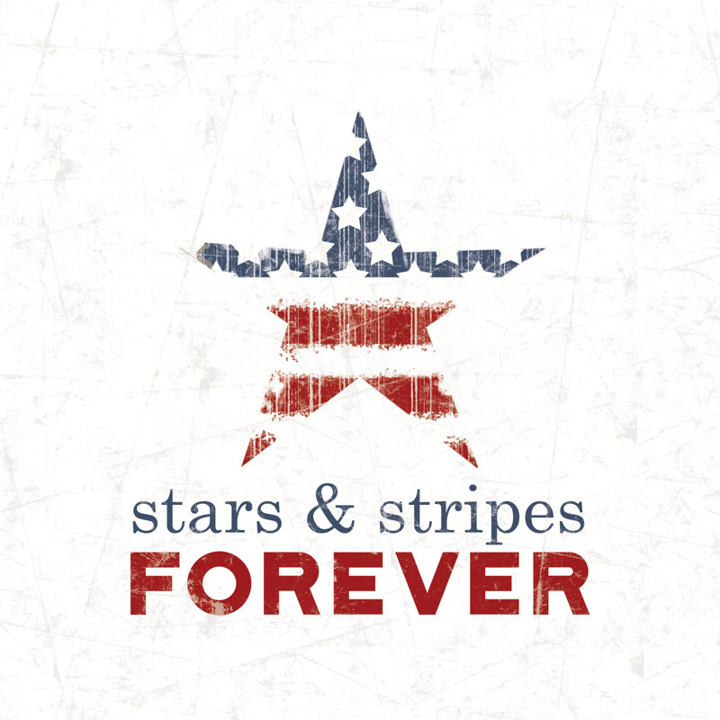 Stars Stripes Forever Star - Wrapped Canvas Print, 30cm H x 30cm W x 3.8cm D