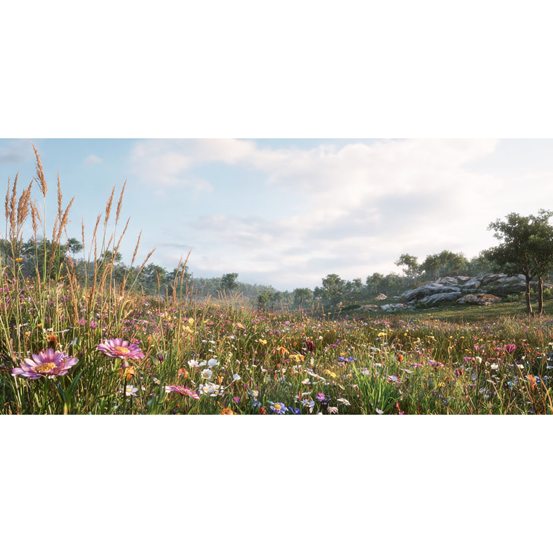 «Summer Meadow Breeze», art mural sur toile tendue, H 24 po x l 48 po