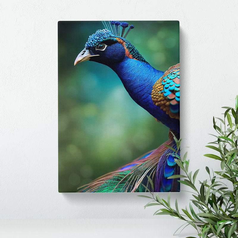 Captivating Peacock - Wrapped Canvas, 50cm H x 35cm W