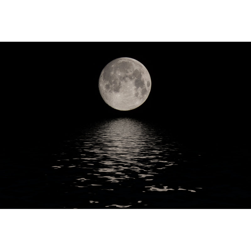 Full Moon - Wrapped Canvas Print, 30cm H x 46cm W x 3.8cm D