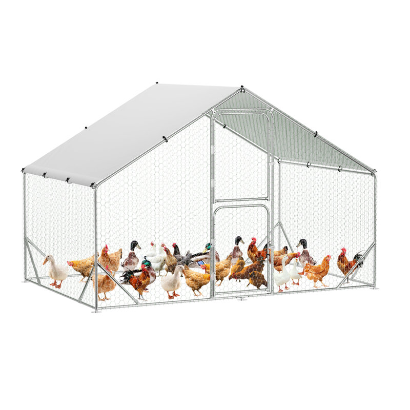 Gabriellina Walk In Chicken Run, H 78,74 po x l 118 po x P 78,74 po
