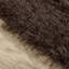 Aarica Solid Colour Area Rug-221421018