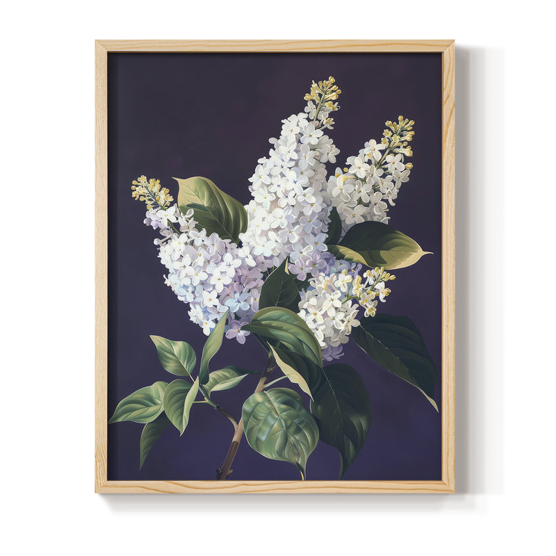 Reproduction encadrée FLORAL Series CCxxxv - bois massif, H 11 po x l 9 po