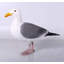 Statue de mouette grandeur nature