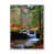Toile avec cadre flottant blanc