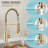 Eqloo Pull Down Kitchen Faucet