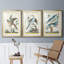 «Pastel Birds IV», reproduction encadrée de qualité supérieure - prête à être accrochée-69983528-69983523