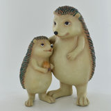 Hedgehog And Child