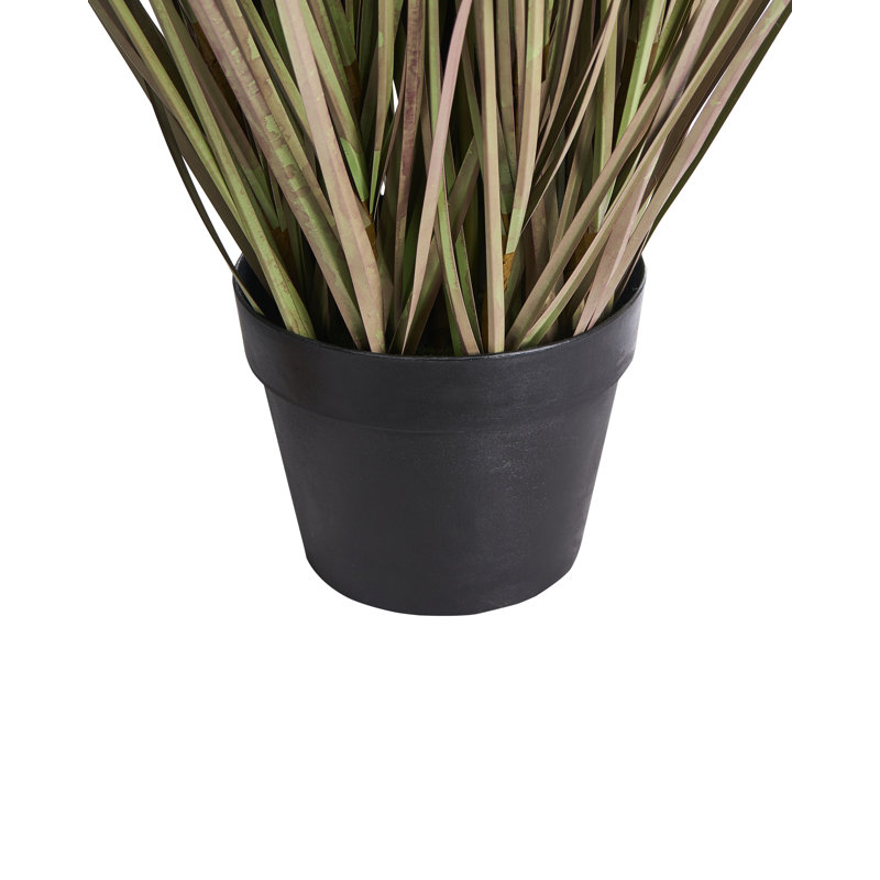 MISCANTHUS GRASS 120 cm H Faux Onion Grass Plant in Plastic Pot
