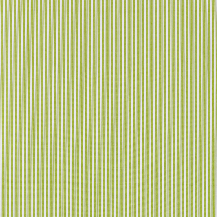 Chatham Kent Stripe Fabric, Pear