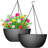 Hanging Planter-1275474323