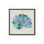 «Blue & White Spiral Shell» par Cat Thurman Designs, reproduction d'art-28368128-28368143-28368130