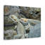No Frame Print on Canvas-889551614