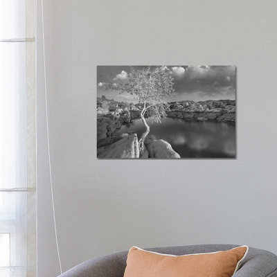 Cottonwood Growing In The Granite Dells, Watson Lake, Arizona by Tim Fitzharris - Wrapped Canvas Gallery-Wrapped Canvas Giclée