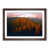 Walnut Framed selected