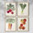 Shuffle III Framed Print - Set of 4-1538130057-1538130060