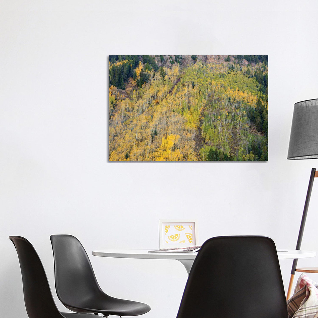 Aspens In Autumn von Bill Sherrell - Galerie-verpackte Leinwand Giclée auf Leinwand