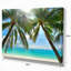 Palmier suspendu sur une plage de sable blanc - reproduction de photo sur toile tendue-590073795-603073661