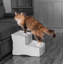 Escalier 2 marches pour animaux Easy Step II-111379548-89556052