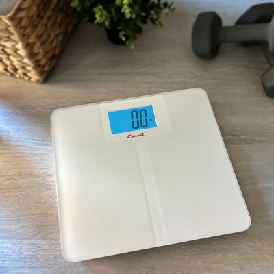 Escali Digital Glass Baby Scale
