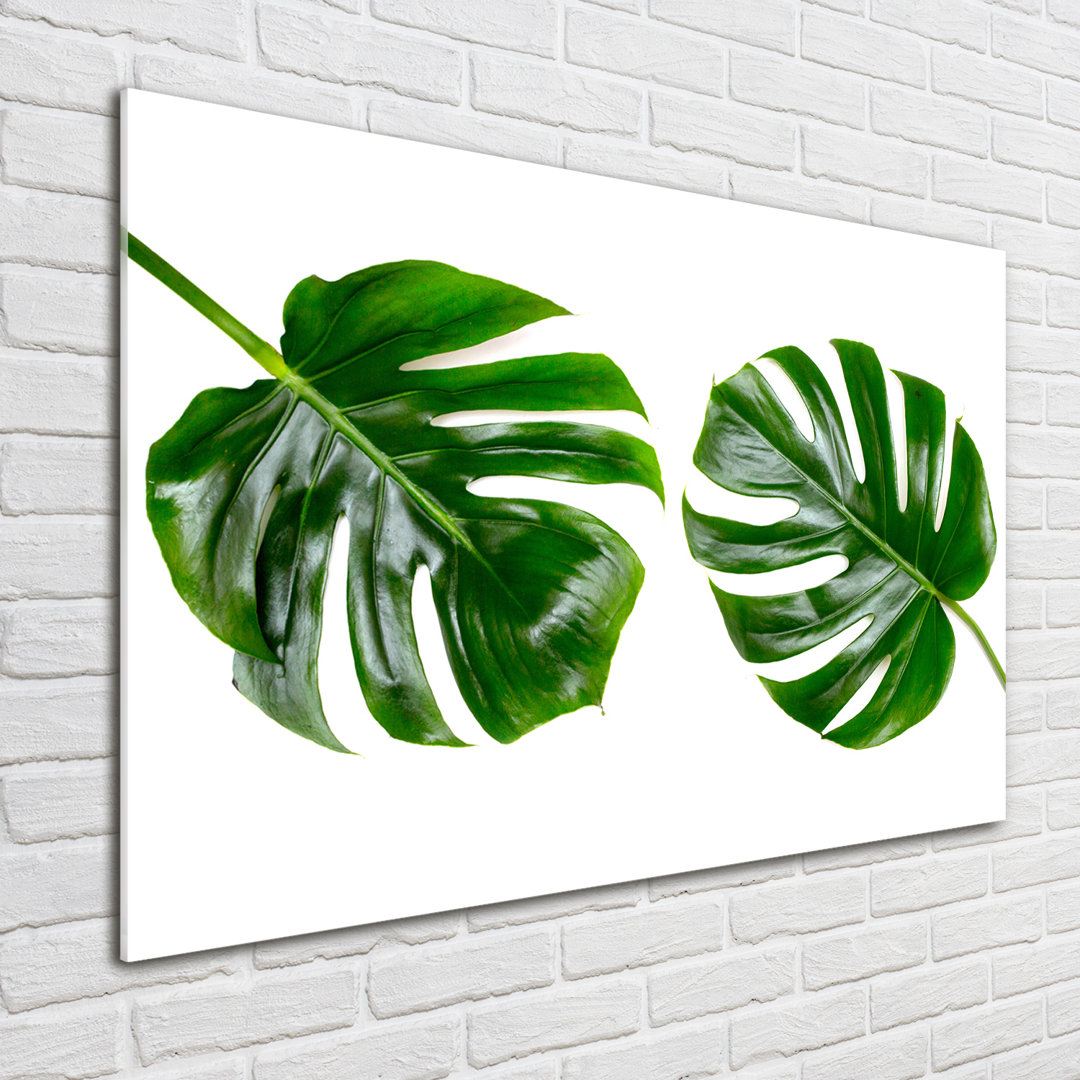 Glasbild Tropical Leaves