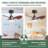 24" Small  Ceiling Fan With Light Remote Control-837657926