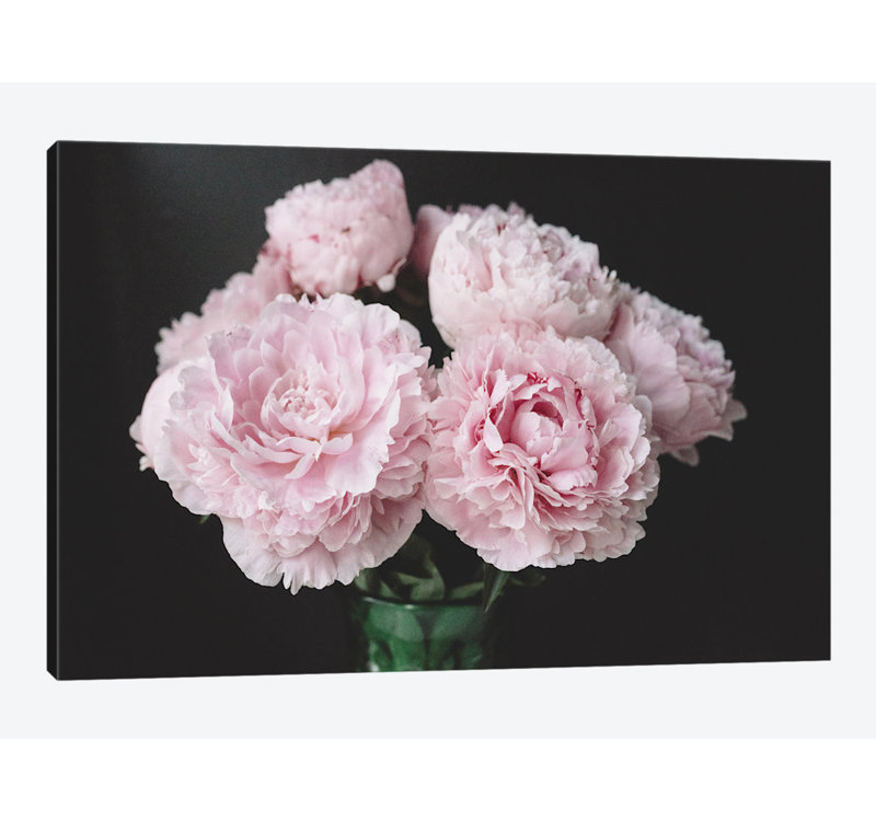 «Pink Peony on Black III», reproduction de photo sur toile, Papier d'art encadré noir, Blanc, H 24 po x l 32 po x P 1 po