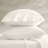 100% Egyptian Cotton Off-White Sateen 2-Piece Standard Sham Pillowcase Set-114622983-117533746