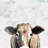 " On The Farm " by White Ladder-597810275-597810298-571538297