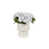 Blanc est en rupture de stock