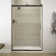 Levity 47.58" x 74" Bypass Shower Door with CleanCoat® Technology