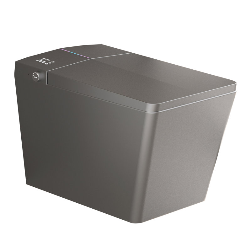Aqualuxe Contemporary Square Smart Toilet With Built-In Tank And Heated Bidet Seat, Gray