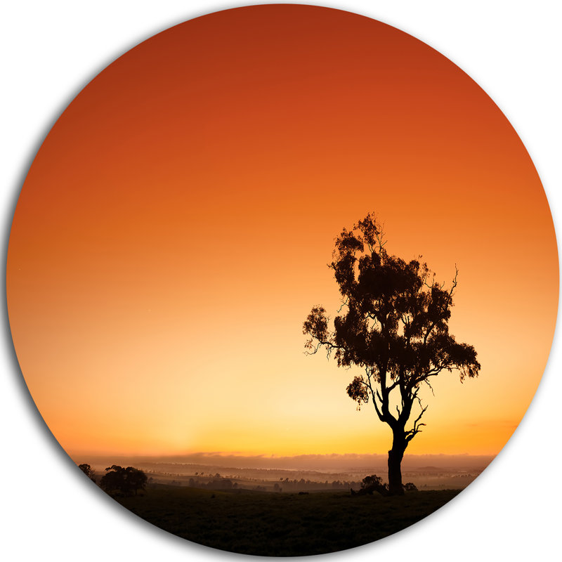 « lever avec arbre des seuls », reproduction de photo sur métal, H 36 po x l 36 po x P 1 po