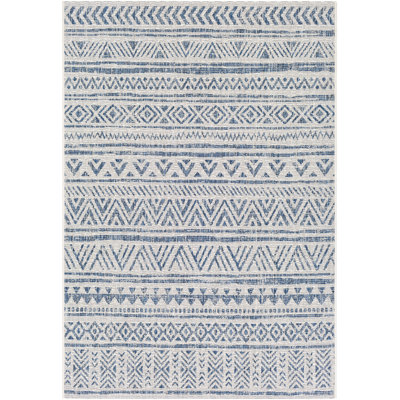 Hongming Indoor/Outdoor Navy/White Rug