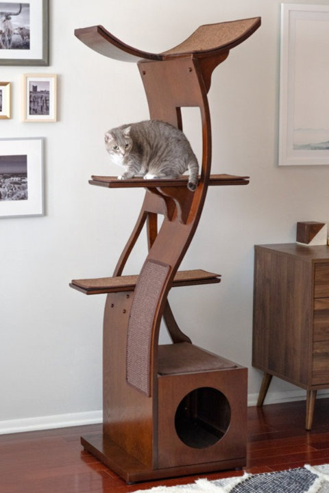 Cat Condos & Cat Trees