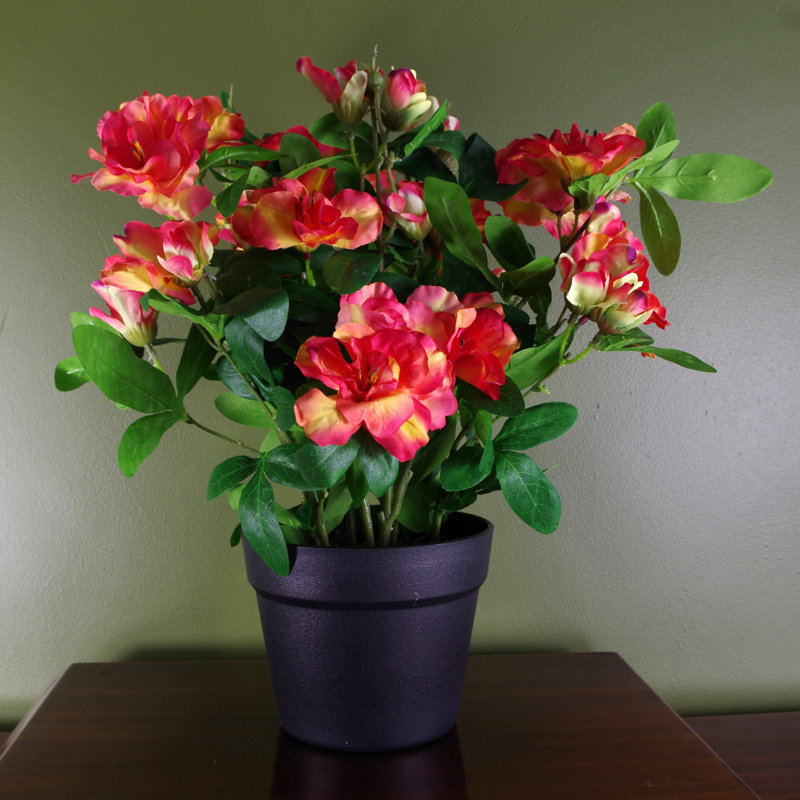 Anari 40cm Faux Tree in Pot