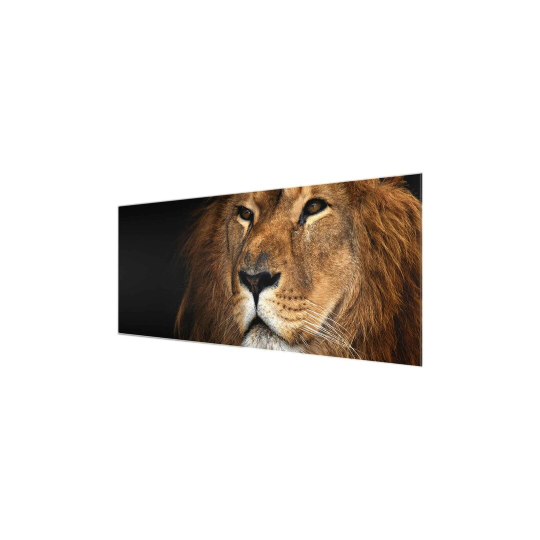 Glasbild Lion`s View