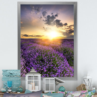 " Lavender Field Sunset Landscape " Painting Print