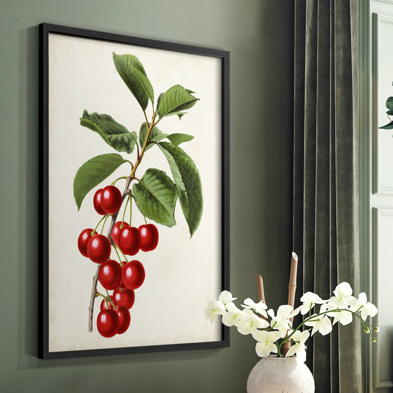 Antique Fruit II, reproduction encadrée - bois massif, Noir, H 20 po x l 16 po