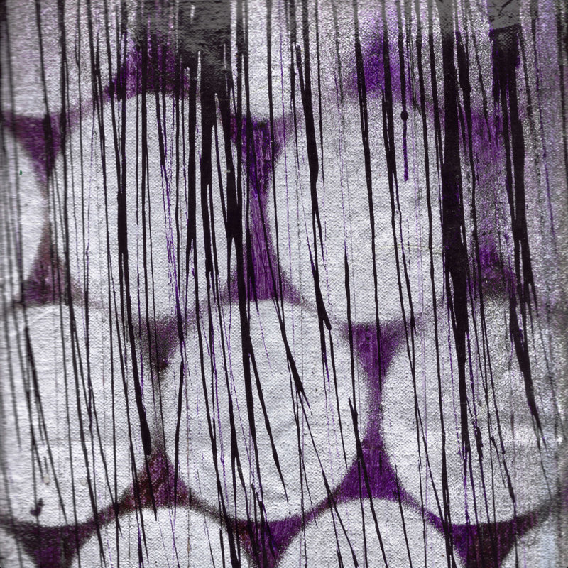 «Sondra Sophia Buddenhagen», impression sur toile tendue, H 12 po x l 12 po, Non, Toile tendue