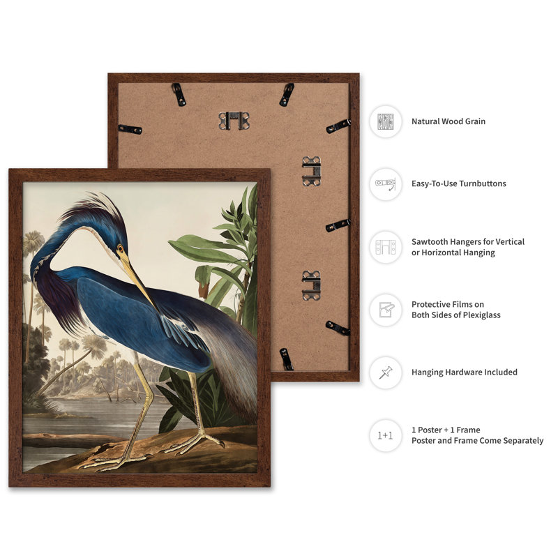 John Audubon - héron de Louisiane, H 24 po x l 32 po, Affiche, Encadrement brun
