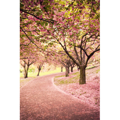 Cherry Blossom in Newyork 1 Piece Wrapped Canvas Wall Art