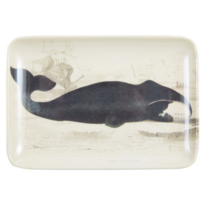 Plateau de service Murgo Baleen