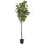 Plante artificielle transitionnelle en pot