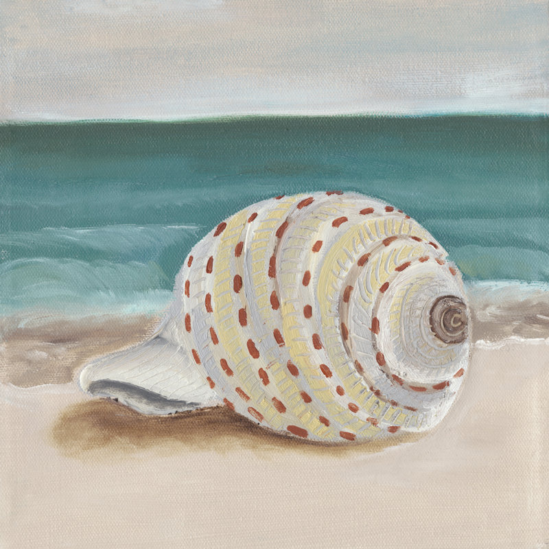 She Sells Seashells II by Alicia Ludwig - Wrapped Canvas Painting, 76cm H x 76cm W